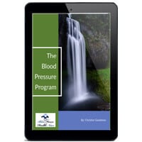 Blood Pressure Program PDF