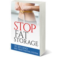 Stop Fat Storage PDF
