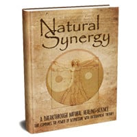 Natural Synergy PDF