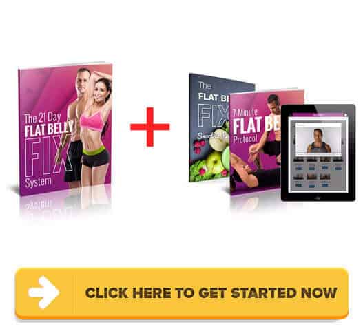 Download The Flat Belly Fix PDF