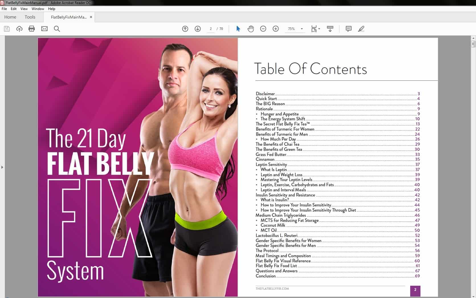 The Flat Belly Fix Table of Contents