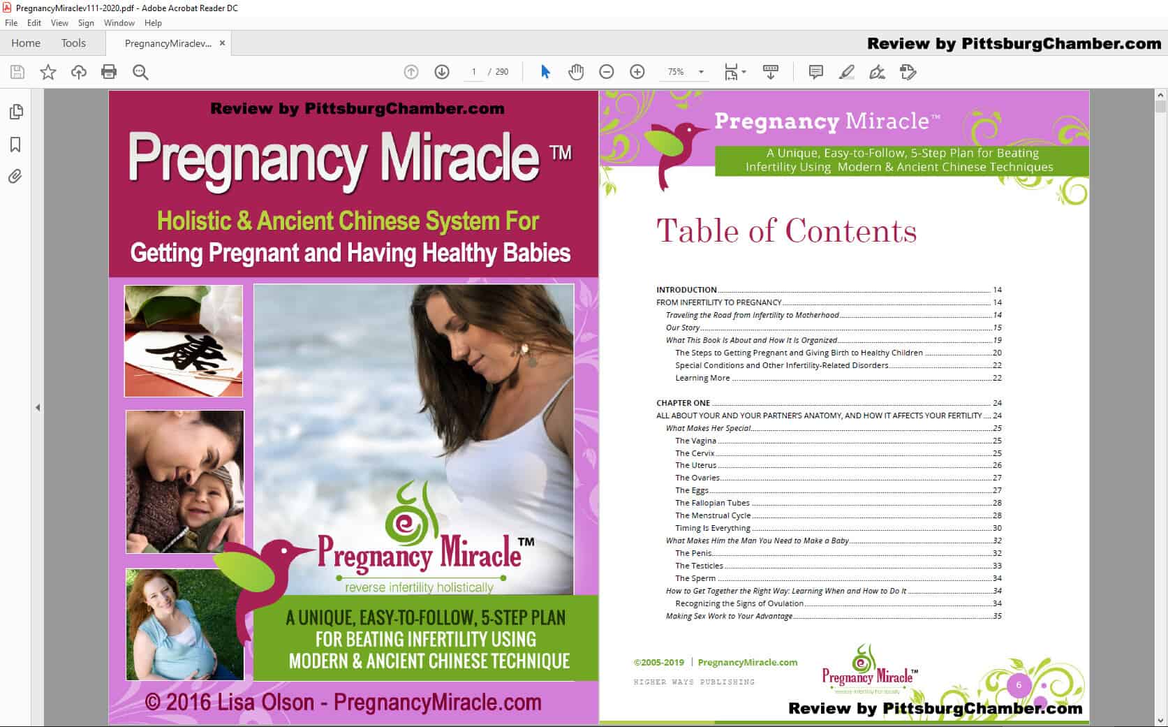 Pregnancy Miracle Table of Contents